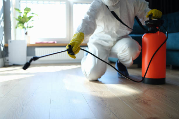 Reliable Infectious Disease Decontamination contractor in Union, WA by Trauma Clean Pros